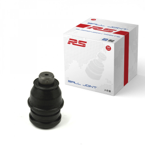 RS RECORD RS10054013