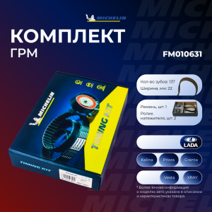 MICHELIN FM010631