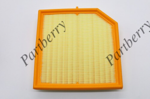 PARTBERRY PB130306