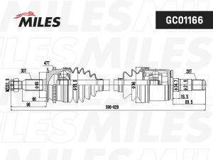 MILES GC01166