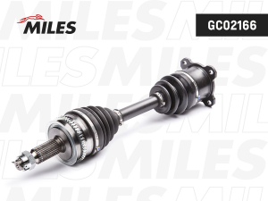 MILES GC02166