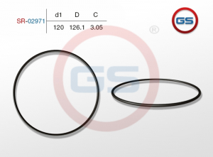 GS SR02971