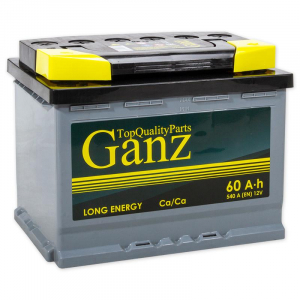GANZ GA600