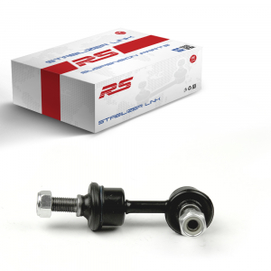 RS RECORD RS10045403