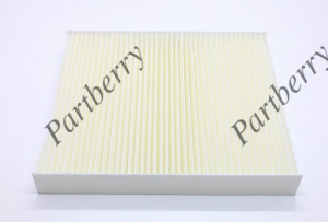 PARTBERRY PB130313
