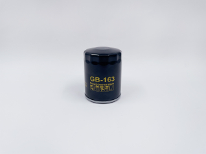 BIG FILTER GB163