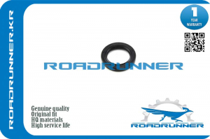 ROADRUNNER RRB63010602
