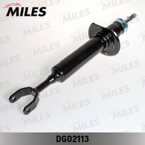MILES DG02113
