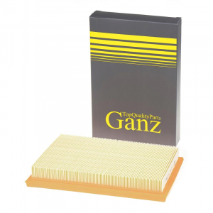 GANZ GIR04293