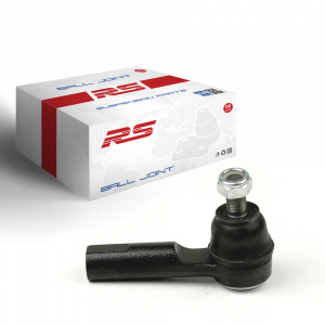 RS RECORD RS10090085