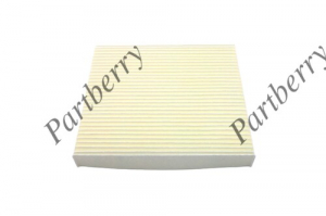 PARTBERRY PB130358