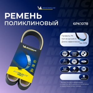 MICHELIN 6PK1078