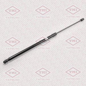 TATSUMI TAF1016
