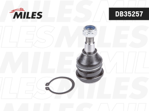 MILES DB35257