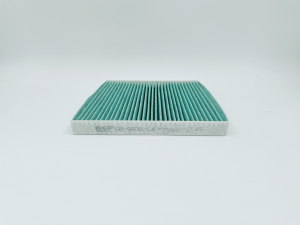 BIG FILTER GB9830CA