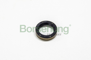 BORSEHUNG B12192