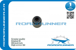 ROADRUNNER RR0K30E10155