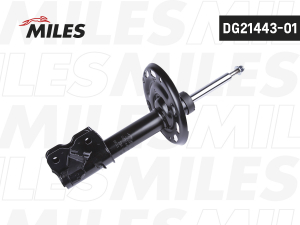MILES DG2144301
