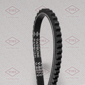 TATSUMI TFA1061