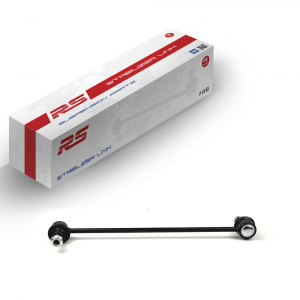 RS RECORD RS10045548