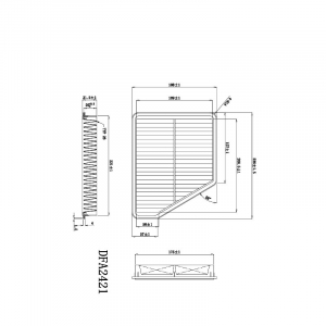 DOUBLE FORCE DFA2421