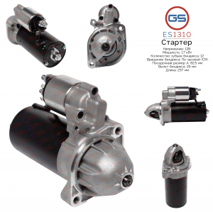 GS ES1310
