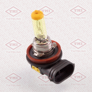 TATSUMI TFN1012Y