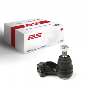 RS RECORD RS10094054