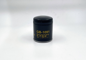 BIG FILTER GB1091