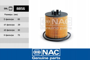NAC 8856