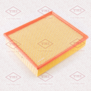TATSUMI TBC1303