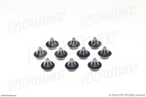 POLCAR 81204581