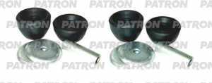 PATRON PSE20866