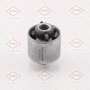 TATSUMI TEF1702