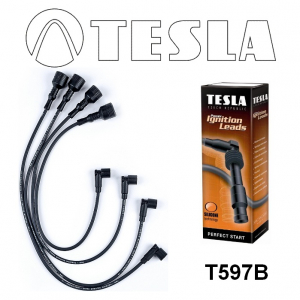 TESLA T597B