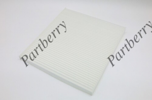 PARTBERRY PB130335