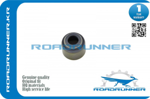 ROADRUNNER RRMD197467