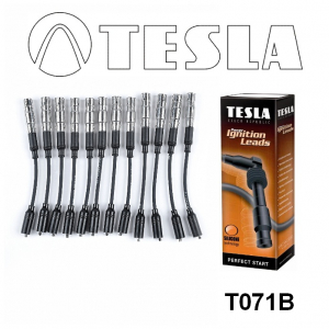 TESLA T071B