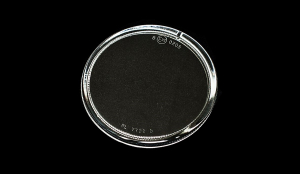 SDS EXCLUSIVE AOR00006XXX