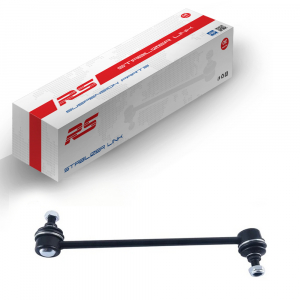 RS RECORD RS10041875