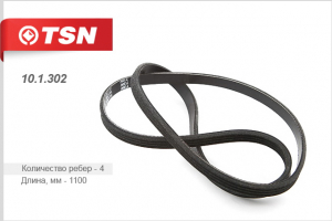 TSN 101302