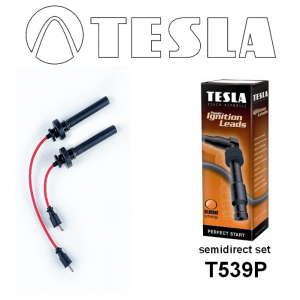 TESLA T539P