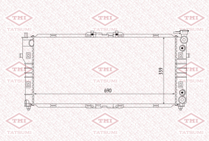 TATSUMI TGA1019