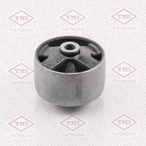 TATSUMI TEG1219