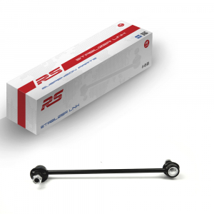 RS RECORD RS10040611