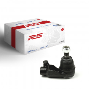 RS RECORD RS10095019