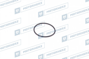 MOTORHERZ HR0021