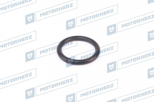 MOTORHERZ HR0213