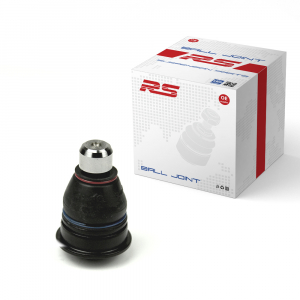 RS RECORD RS10059200