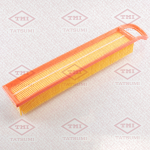 TATSUMI TBC1248